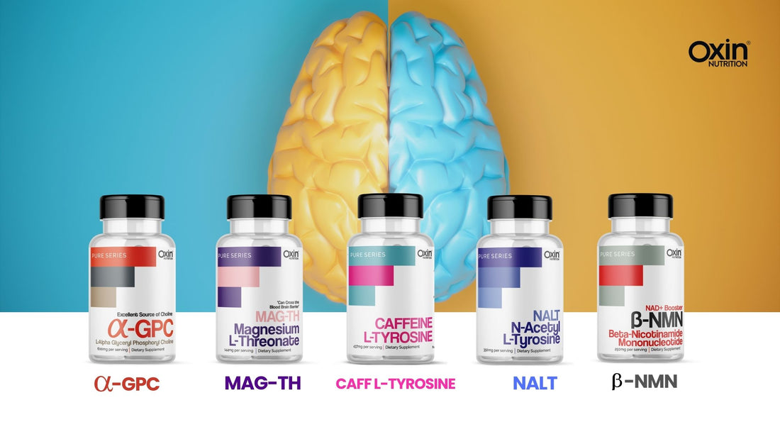 Unlock Your Potential with Oxin Nutrition Supplements