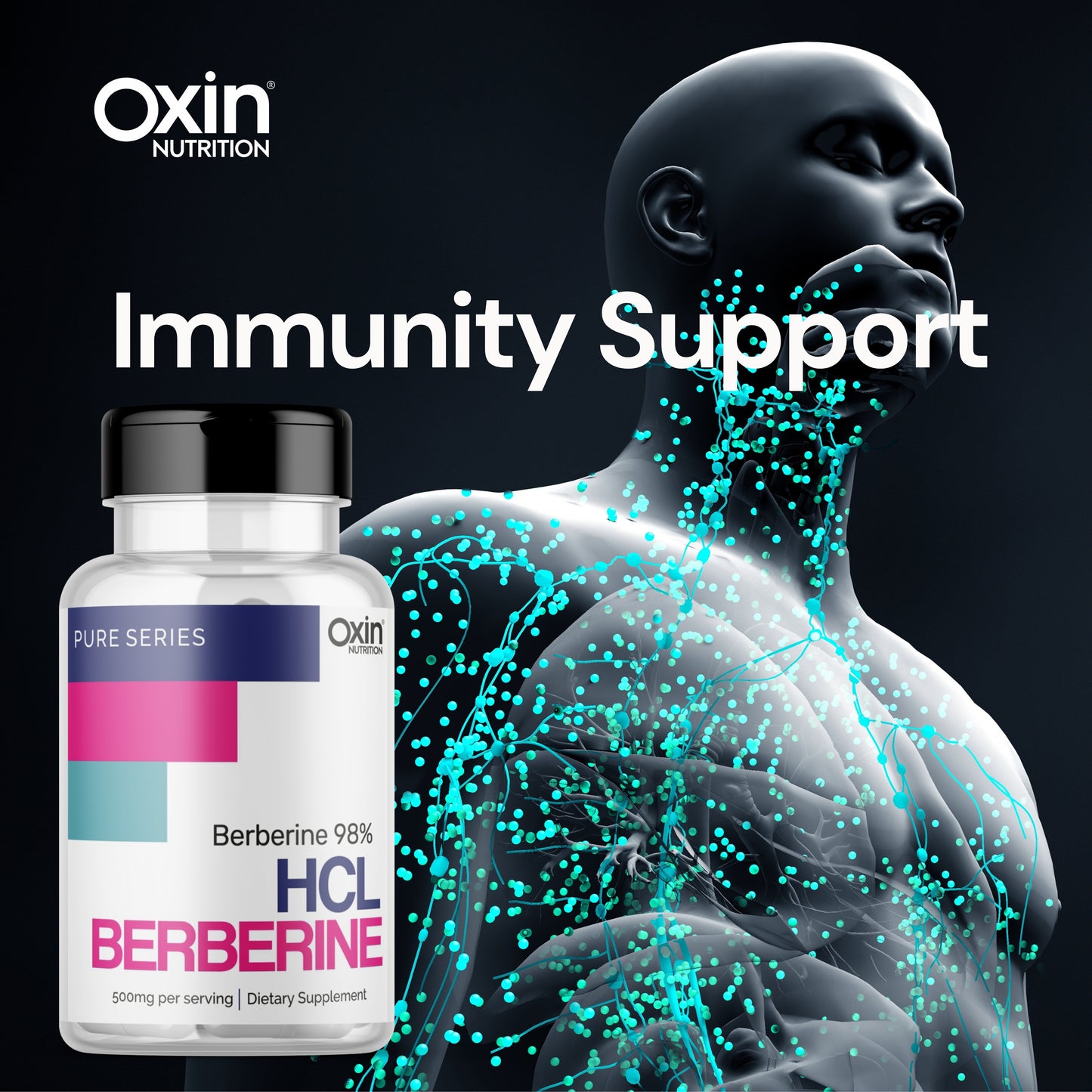 Oxin Nutrition® Berberine HCL 500mg Capsules - 98% Highly Purified and Bioavailable Supplement - 82:1 Concentrated Formula