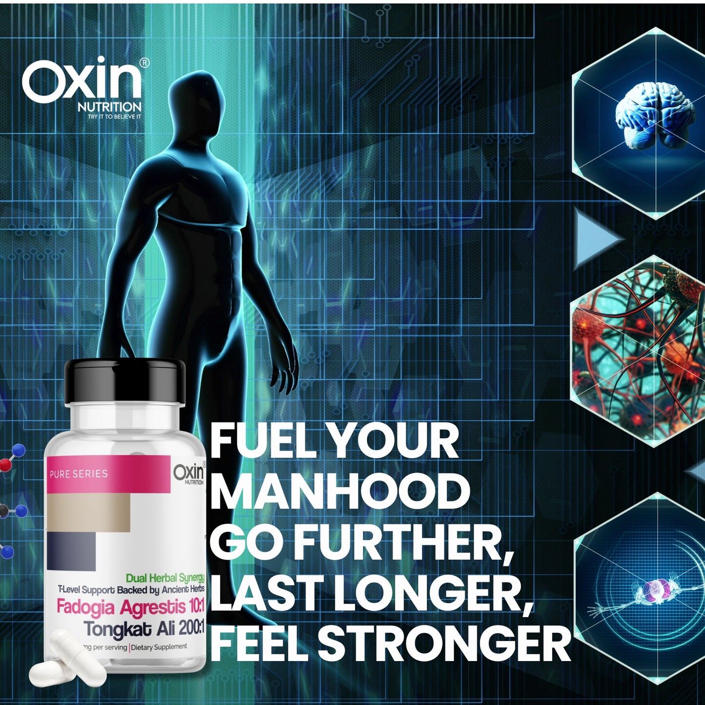 Oxin® Nutrition Fadogia Agrestis 10:1 + Tongkat Ali 200:1 | Testosterone & Performance Support