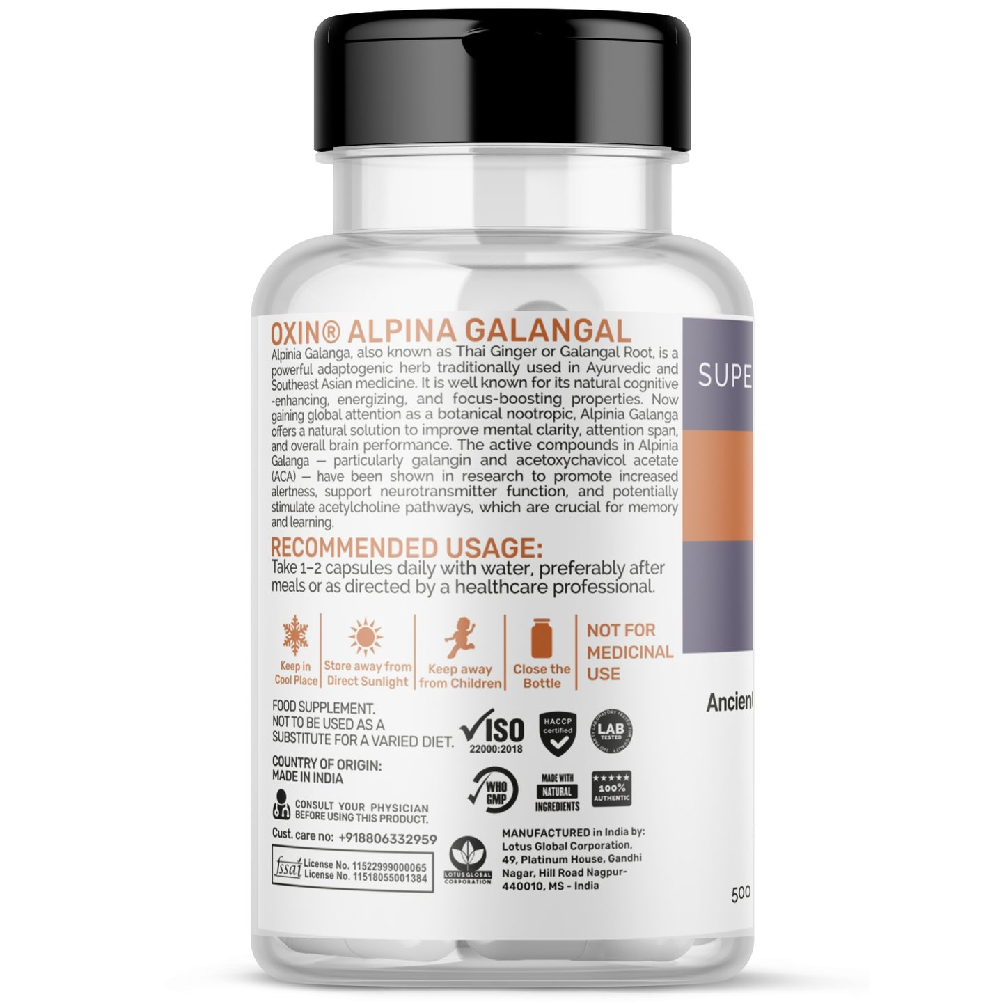 Oxin Nutrition Alpinia Galangal THAI GINGER 1000mg Extract Capsule - Cognitive Support Memory & Focus Mood & Stress