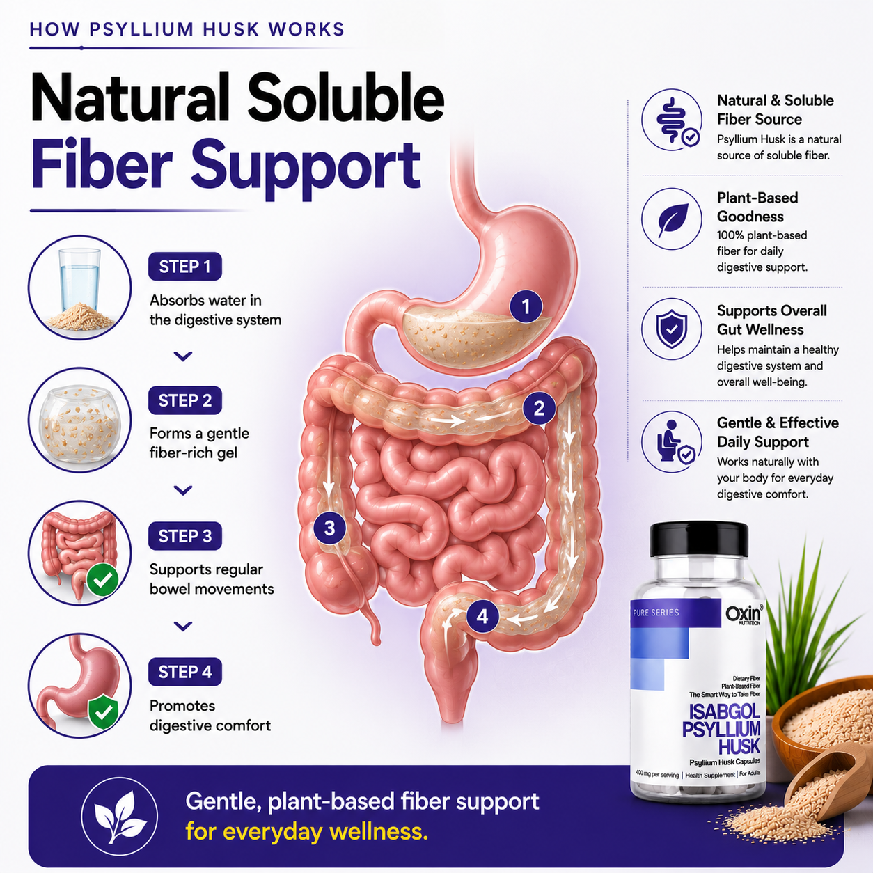 Isabgol Psyllium Husk 400mg Capsules
