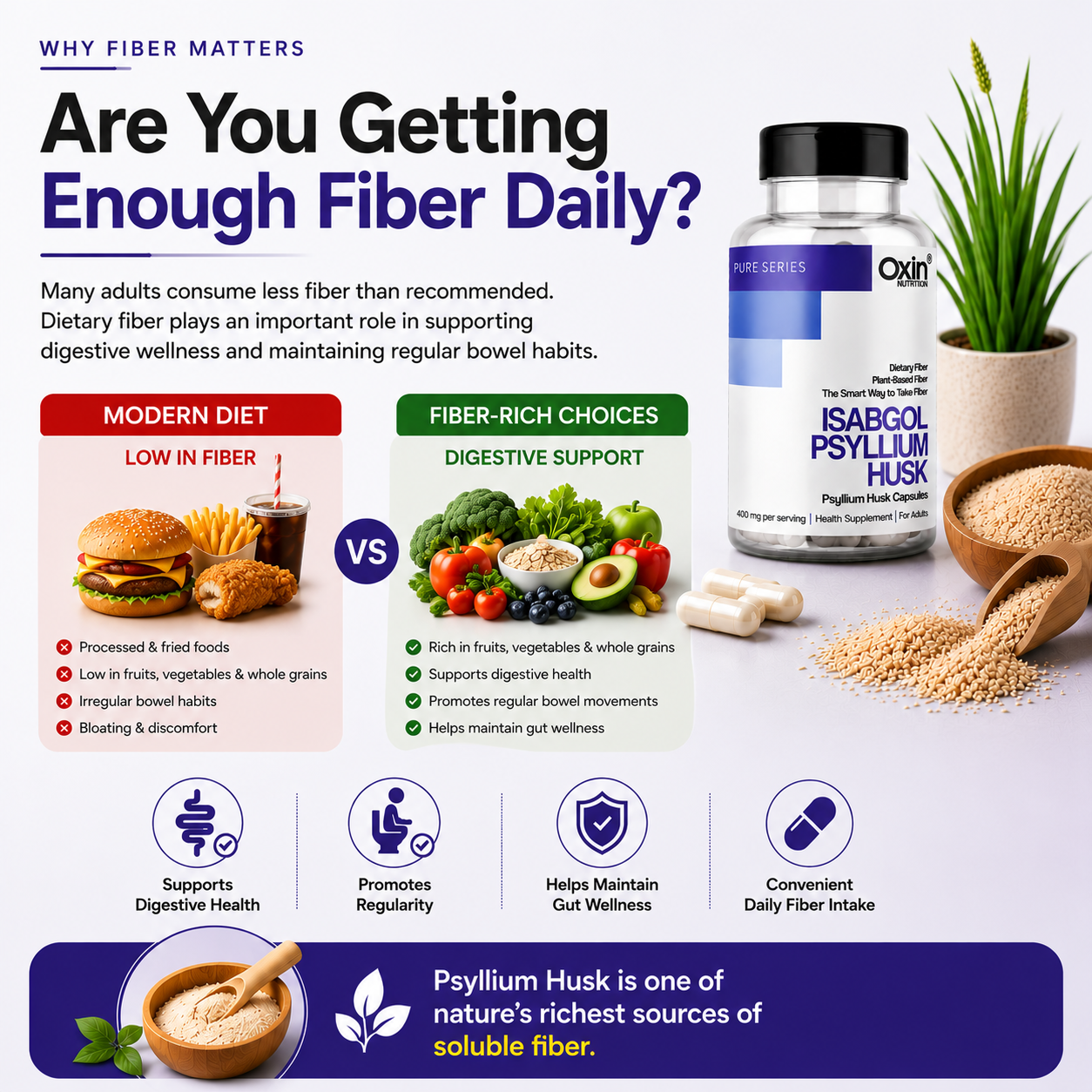 Isabgol Psyllium Husk 400mg Capsules