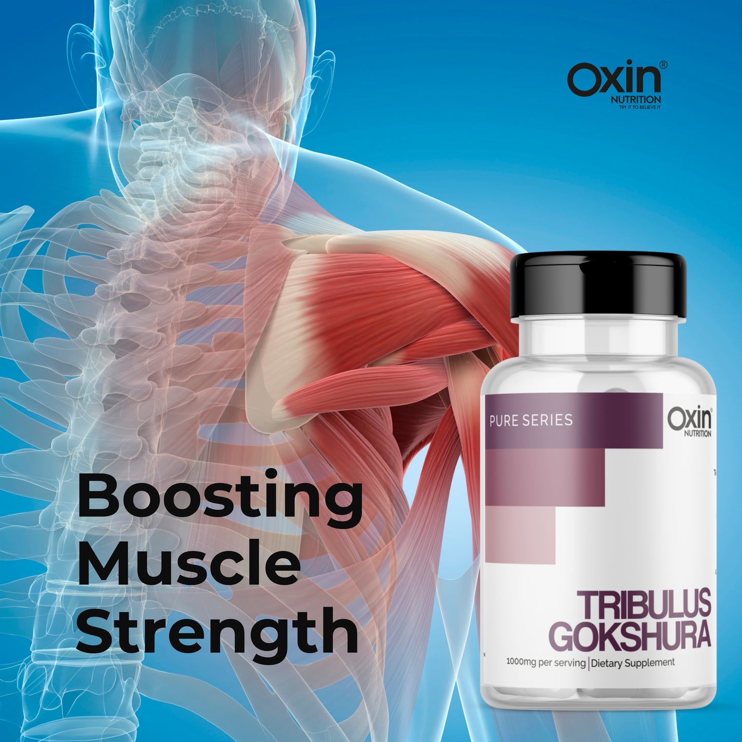 Oxin® Nutrition Tribulus Terrestris Gokshura Extract Capsules