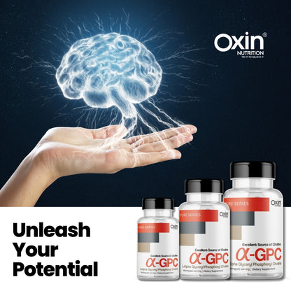 Oxin Nutrition Alpha GPC (α-GPC) 600mg - Premium Choline Source