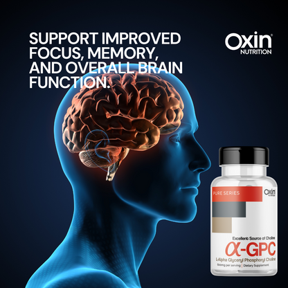 Oxin Nutrition Alpha GPC (α-GPC) 600mg - Premium Choline Source